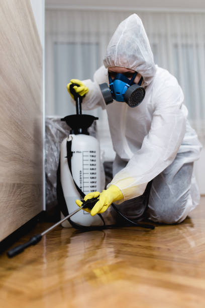 Professional Pest control in Claymont, DE